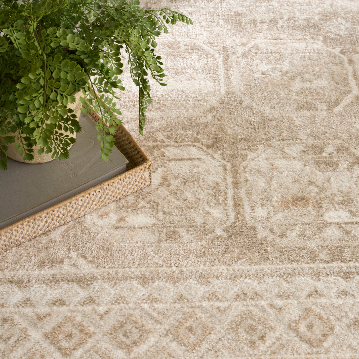 Nourison Home Dekor  Cream Beige  Traditional
