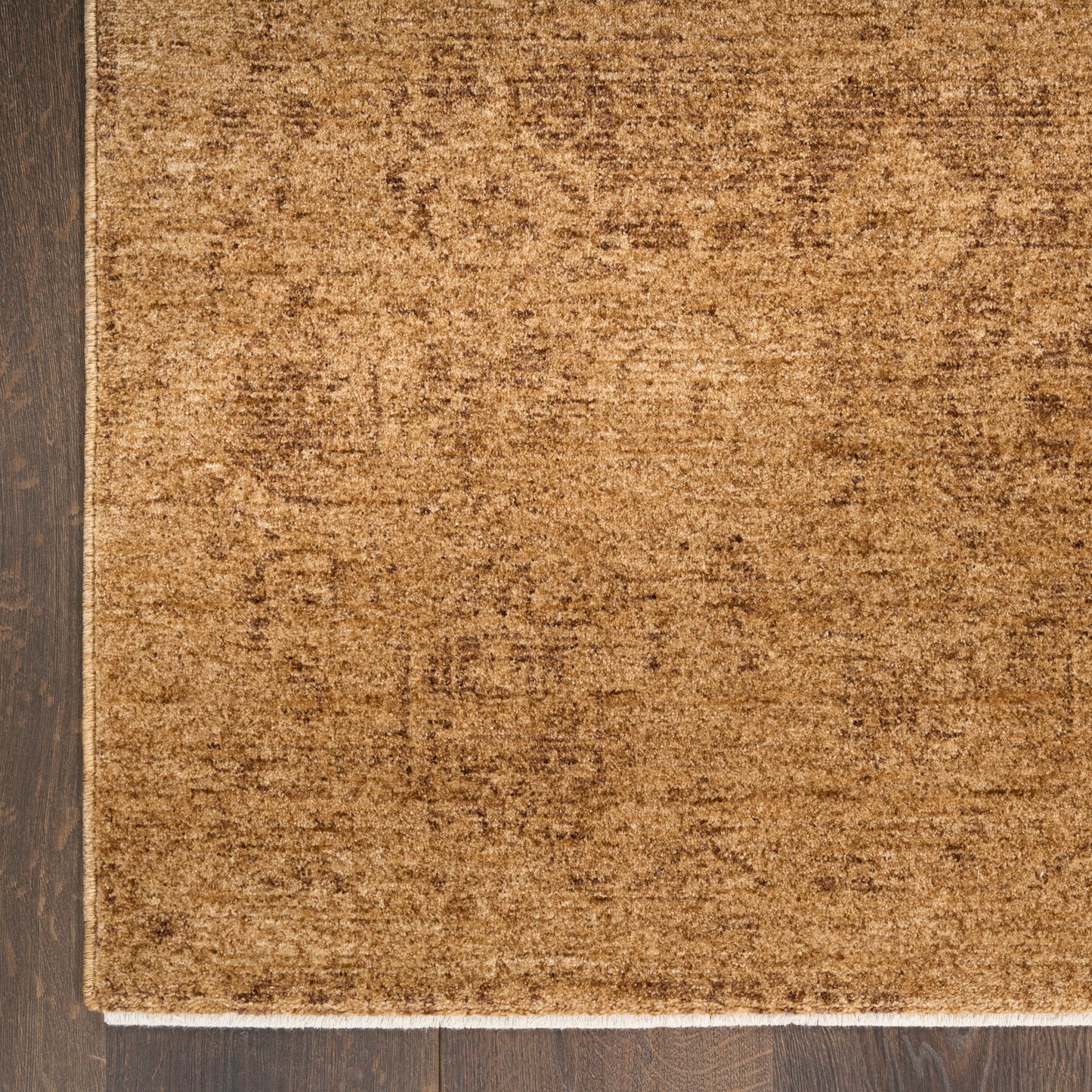 DKNY Pure Shades  Latte  Traditional