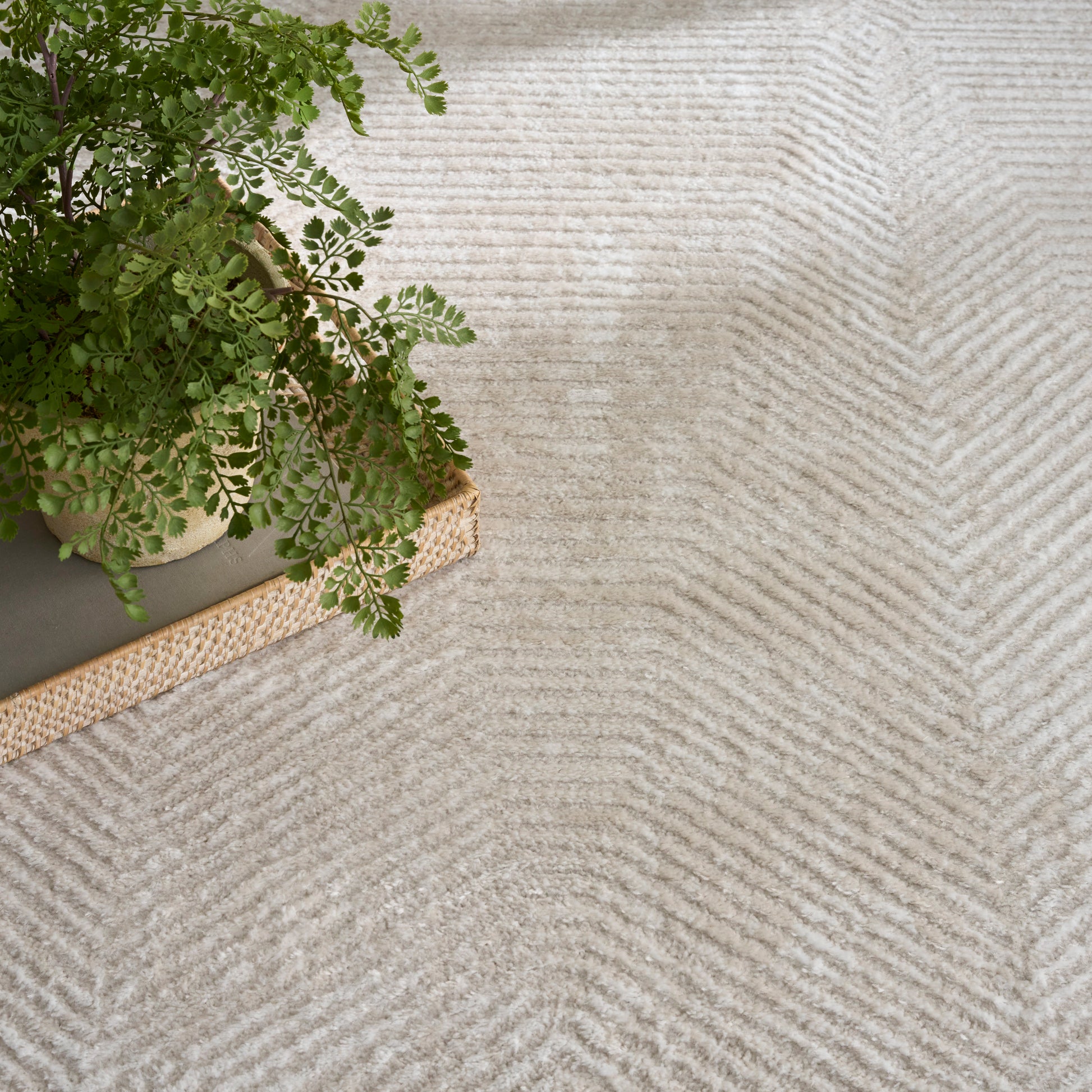 Nourison Home Dekor  Ivory Beige  Contemporary