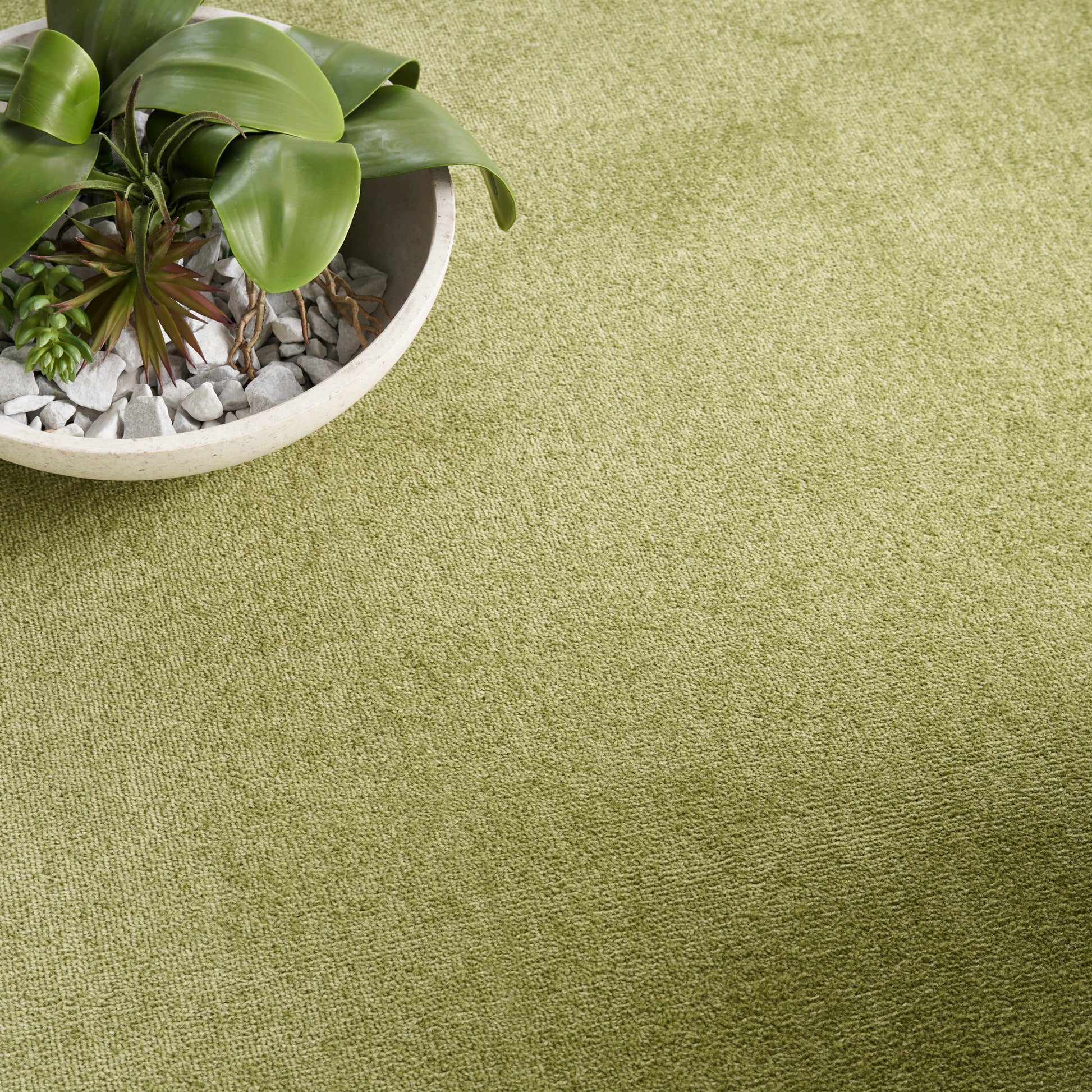 Nourison Home Nourison Essentials  Green  Contemporary