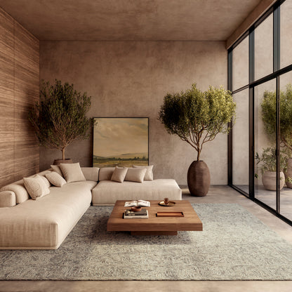 Nourison Home Colorado  Beige Grey  Contemporary