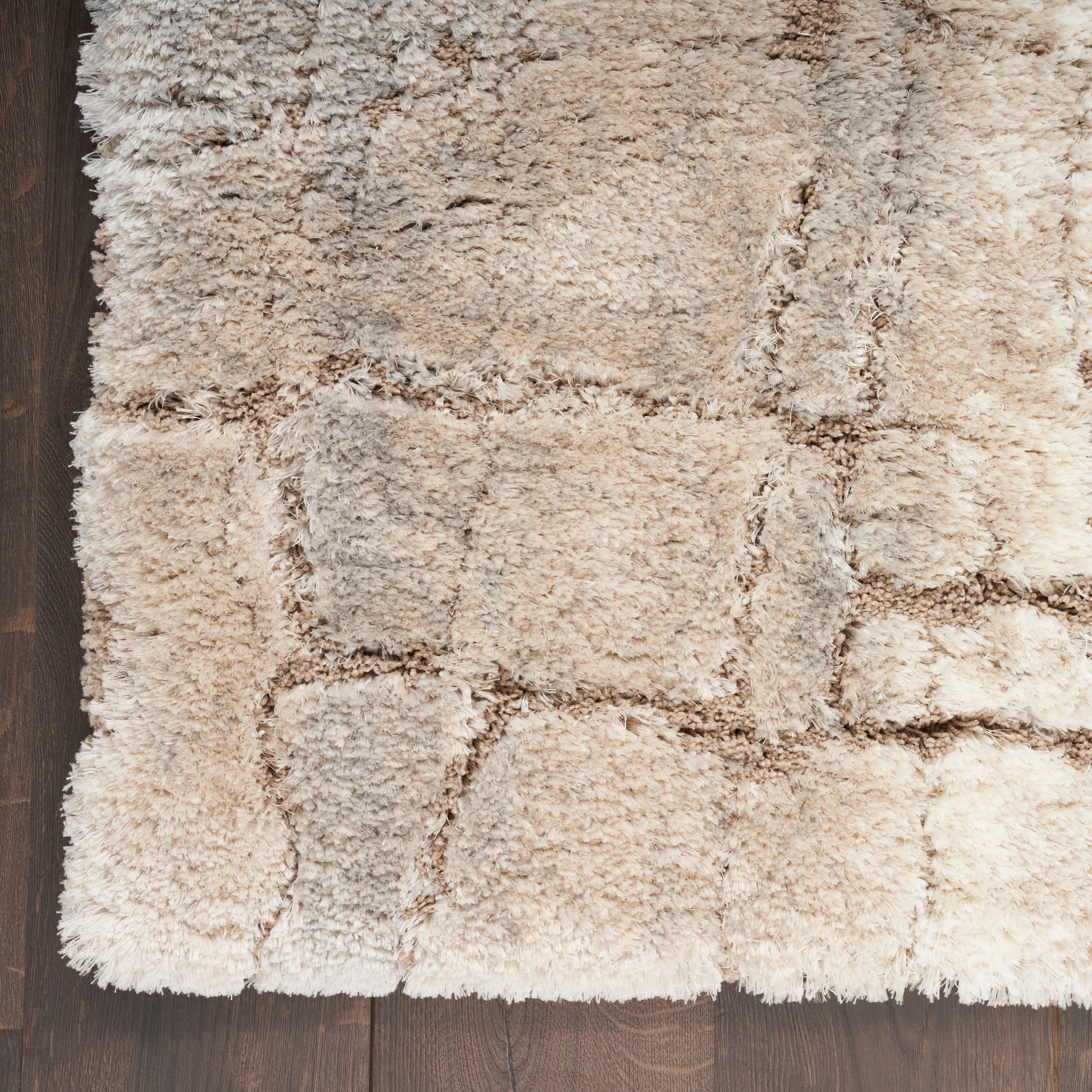 Nourison Home Dreamy Shag  Ivory Beige  Contemporary