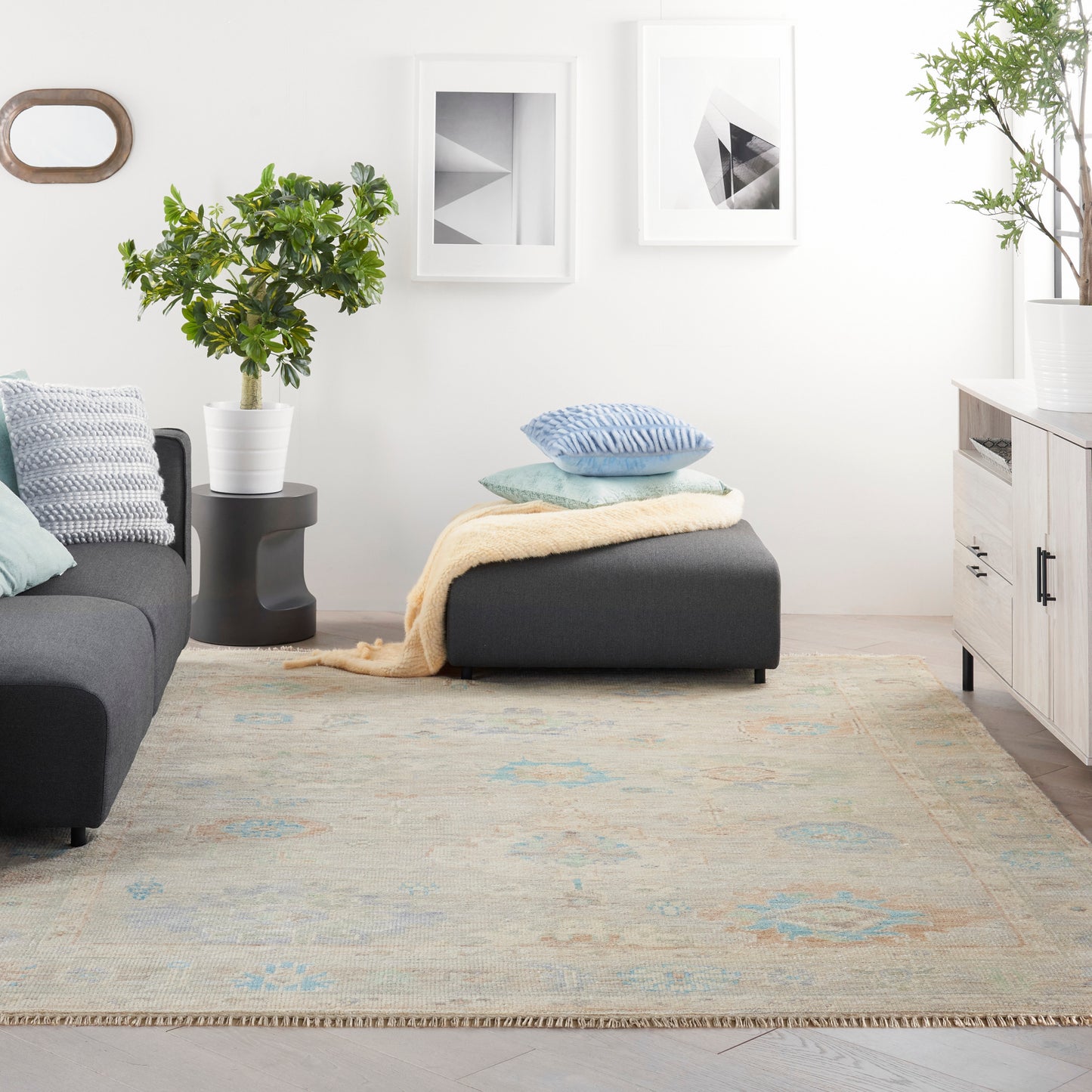 Nourison Home Odessa  Ivory Multicolor  Traditional