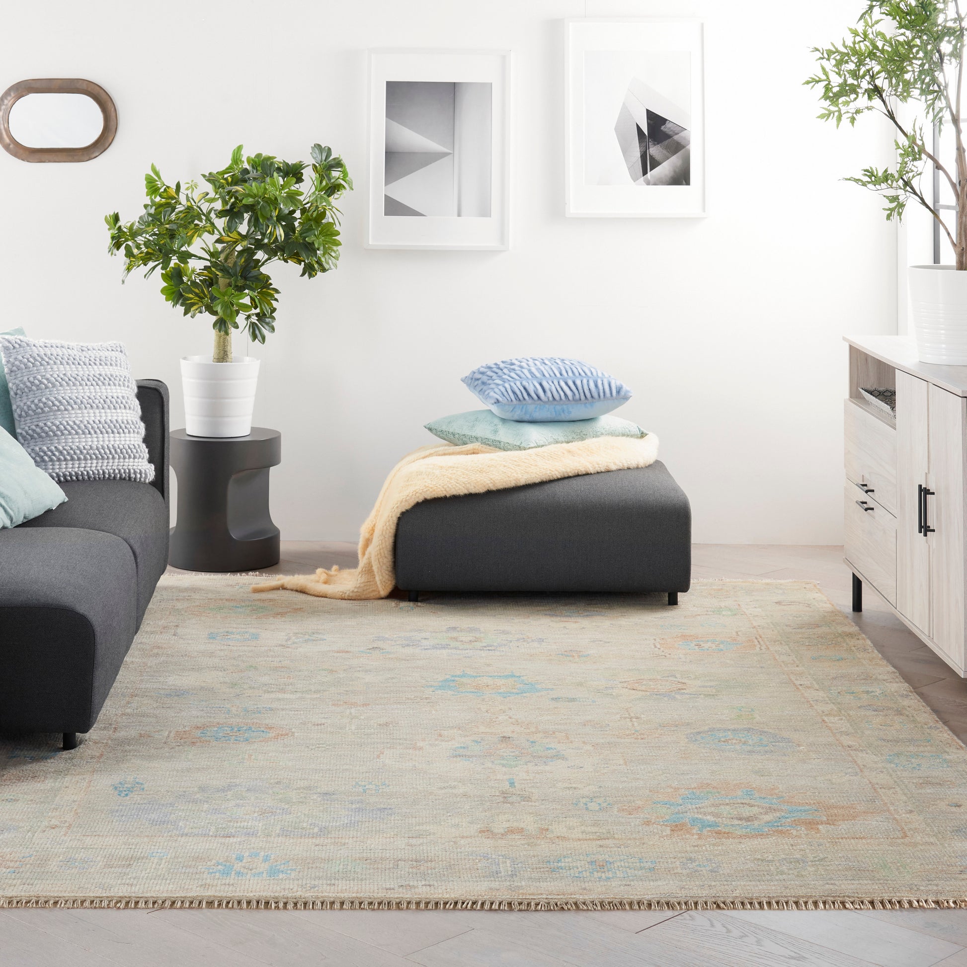 Nourison Home Odessa  Ivory Multicolor  Traditional