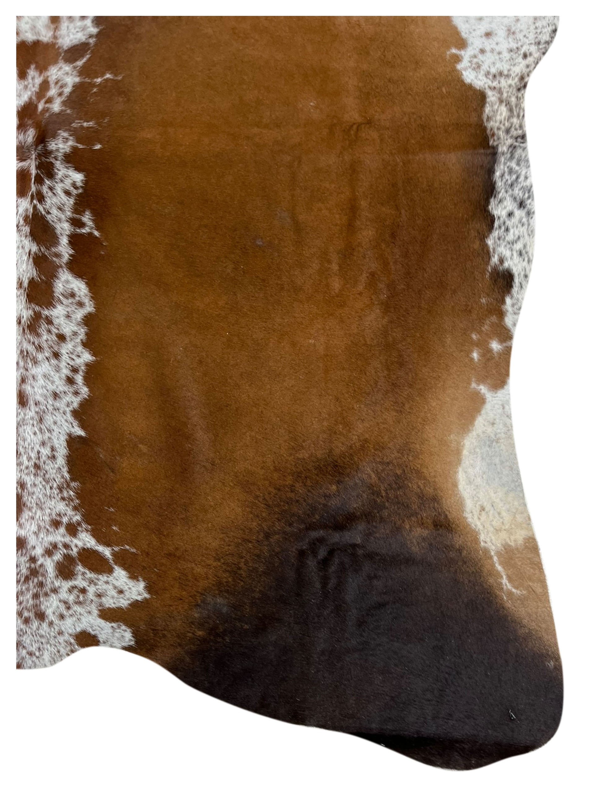 Artisan Claire 5554 Brown  Hair on Hide Cowhide Shape Rug