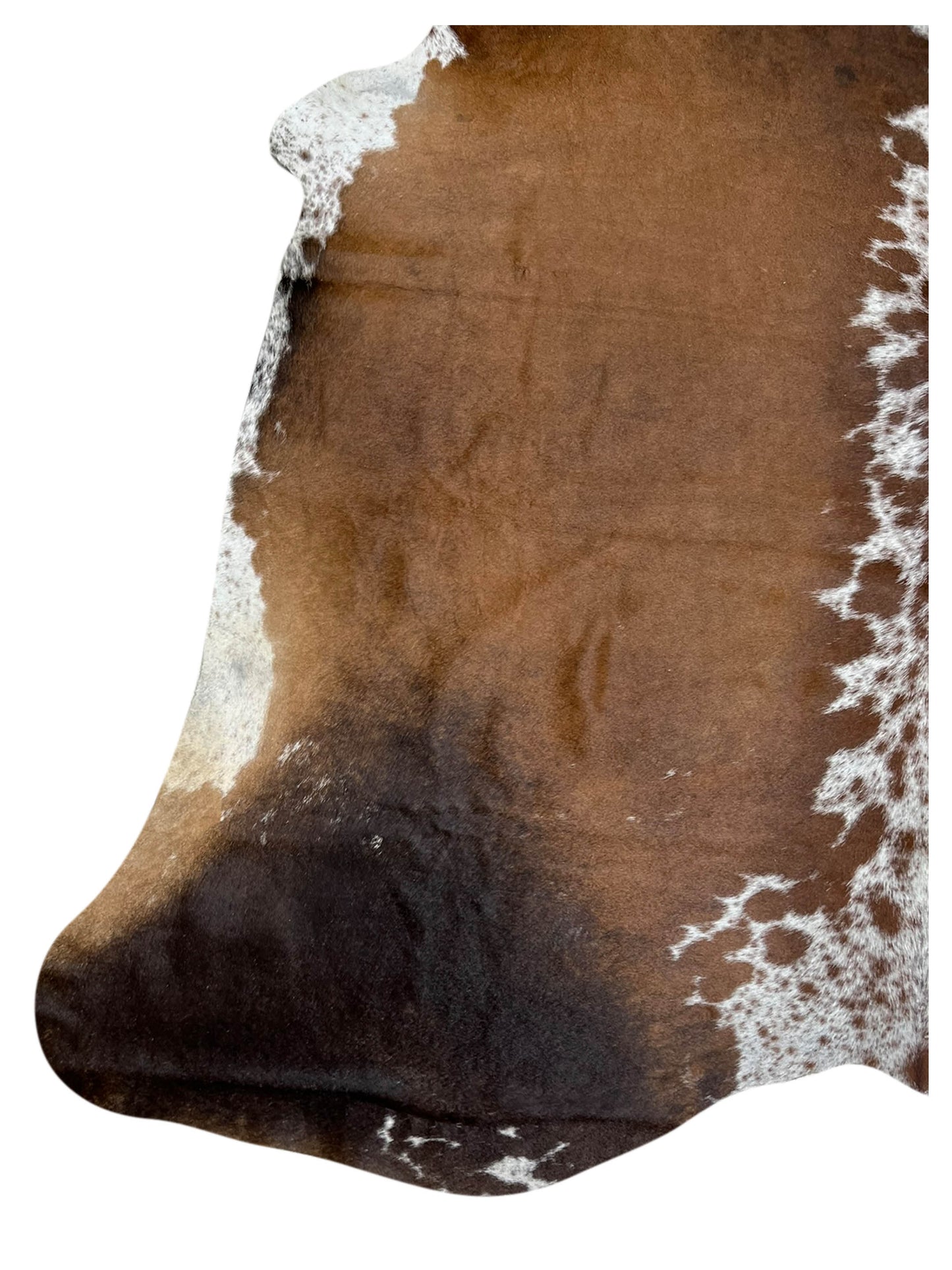 Artisan Claire 5554 Brown  Hair on Hide Cowhide Shape Rug