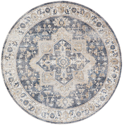 Nourison Home Astra Machine Washable ASW12 Grey Blue Traditional Power-loomed Rug