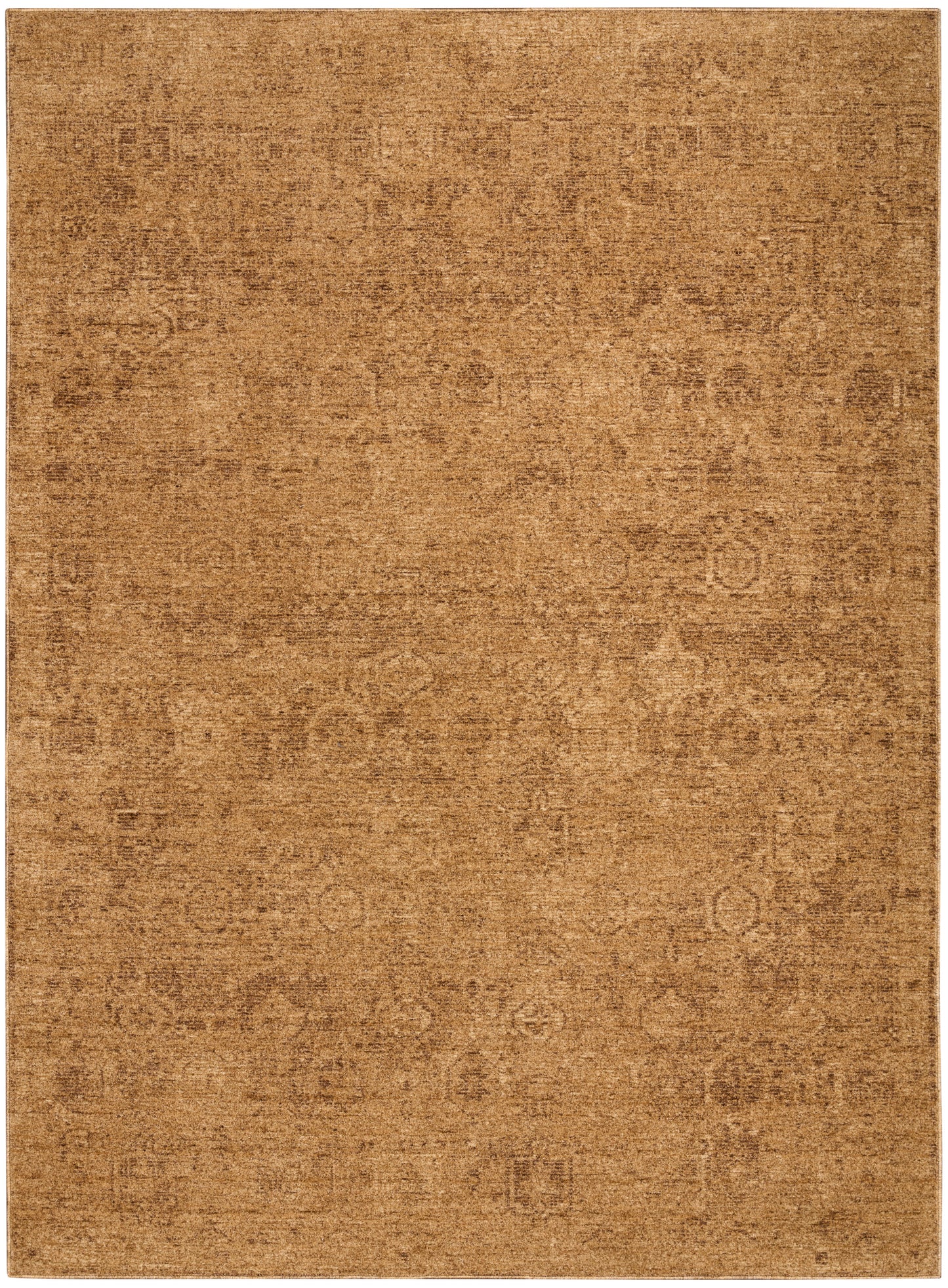 DKNY Pure Shades SAD01 Latte Traditional Machine Made Rug