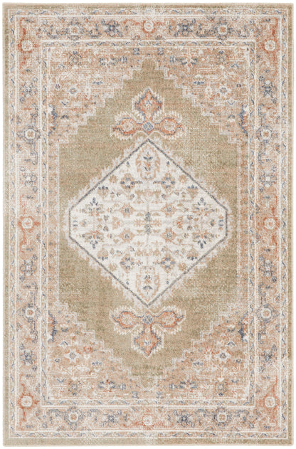 Nourison Home Astra Machine Washable ASW11 Sage Multi Traditional Power-loomed Rug