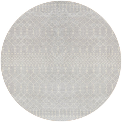 Nourison Home Astra Machine Washable ASW10 Grey Transitional Power-loomed Rug