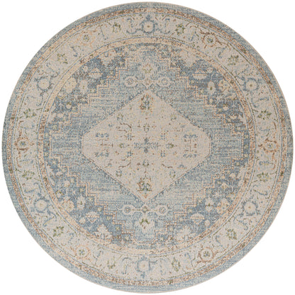 Nourison Home Astra Machine Washable ASW11 Silver Blue Traditional Power-loomed Rug