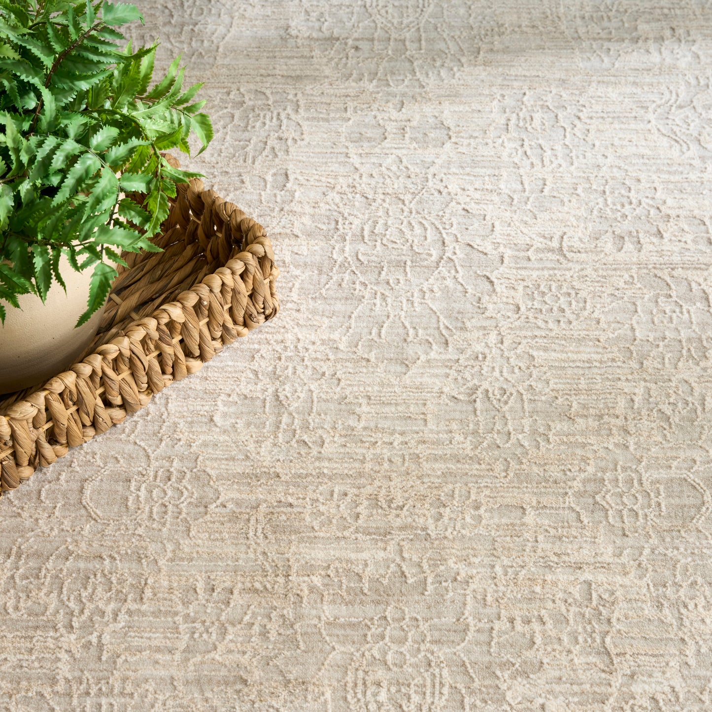 Nourison Home Shadows  Ivory Grey  Traditional