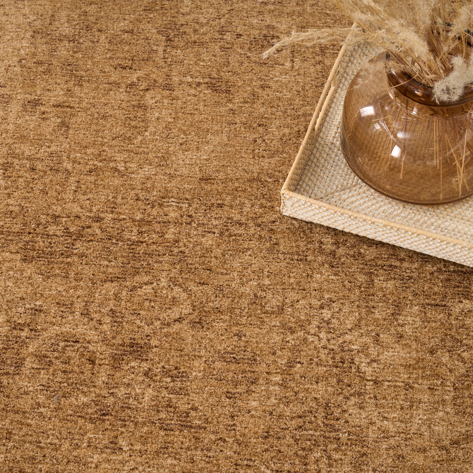 DKNY Pure Shades  Latte  Traditional