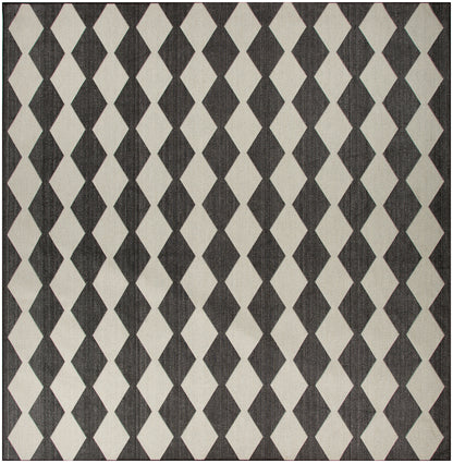 Nourison Home Positano POS04 Black Contemporary Power-loomed Rug