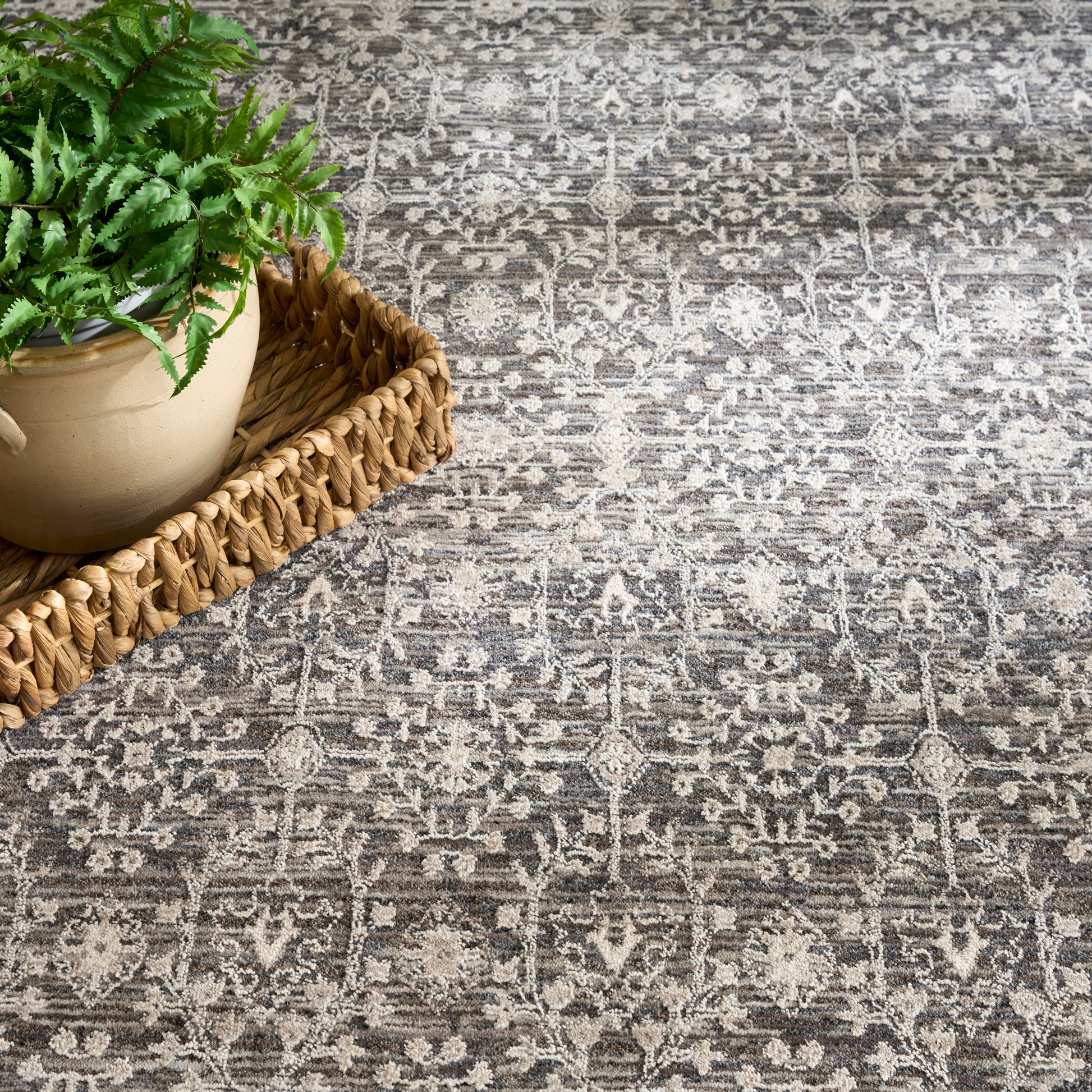 Nourison Home Shadows  Charcoal Ivory  Traditional