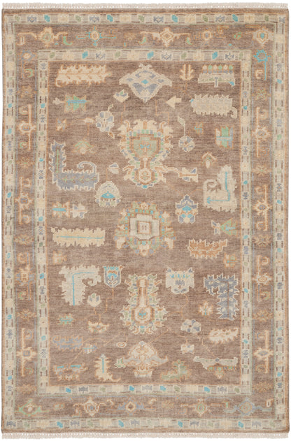 Nourison Home Odessa ODS01 Ivory Mocha Traditional Knotted Rug