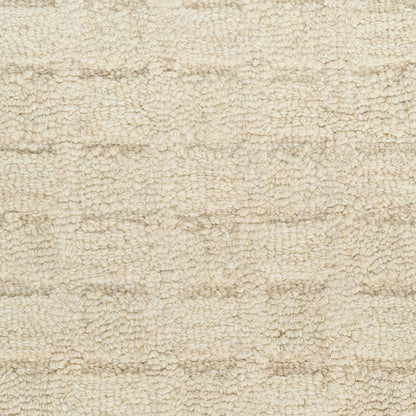 DKNY Pure Grids  Ivory Beige  Contemporary