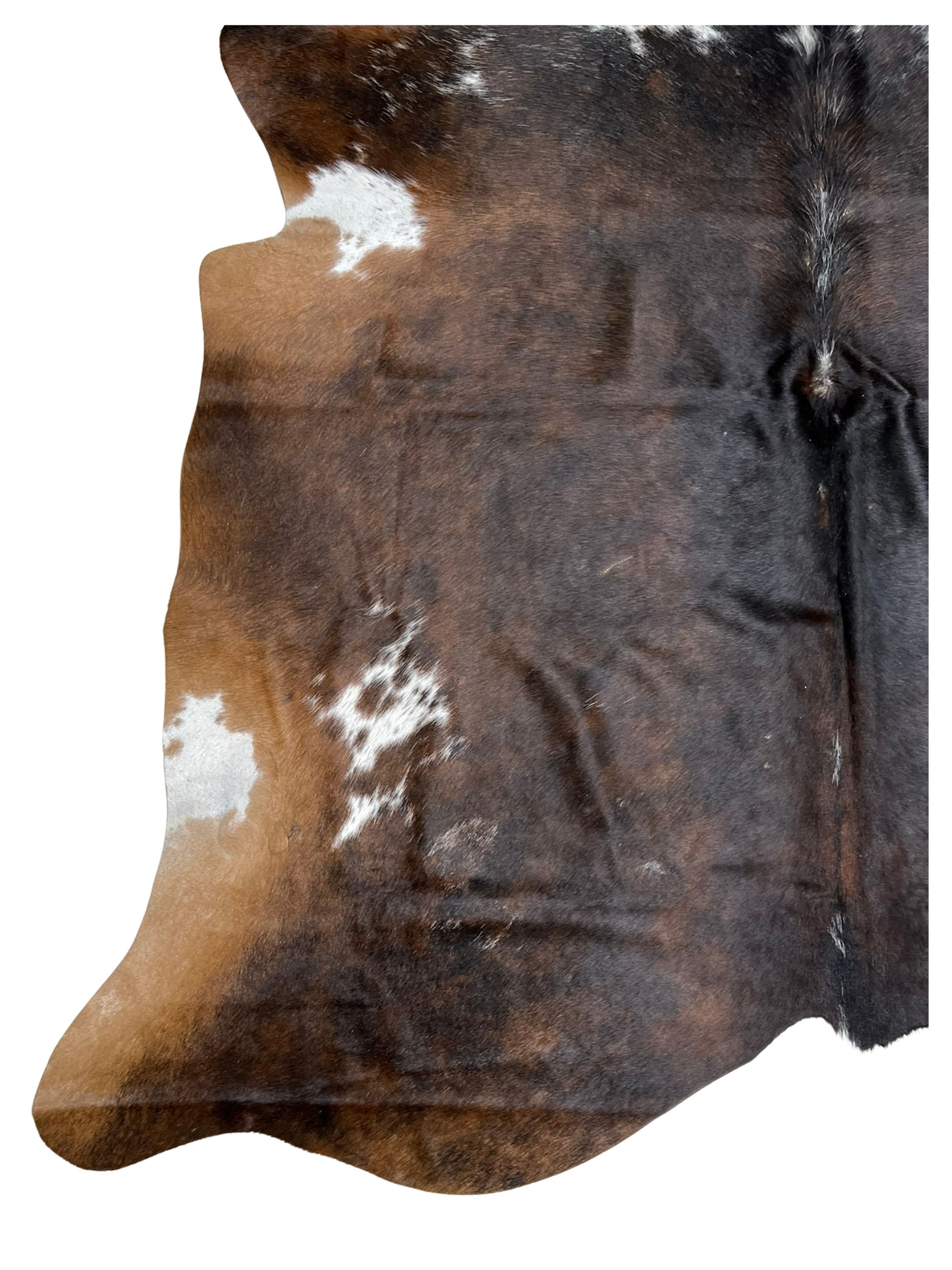 Artisan Claire 5550 Dk.Brown White Hair on Hide Cowhide Shape Rug