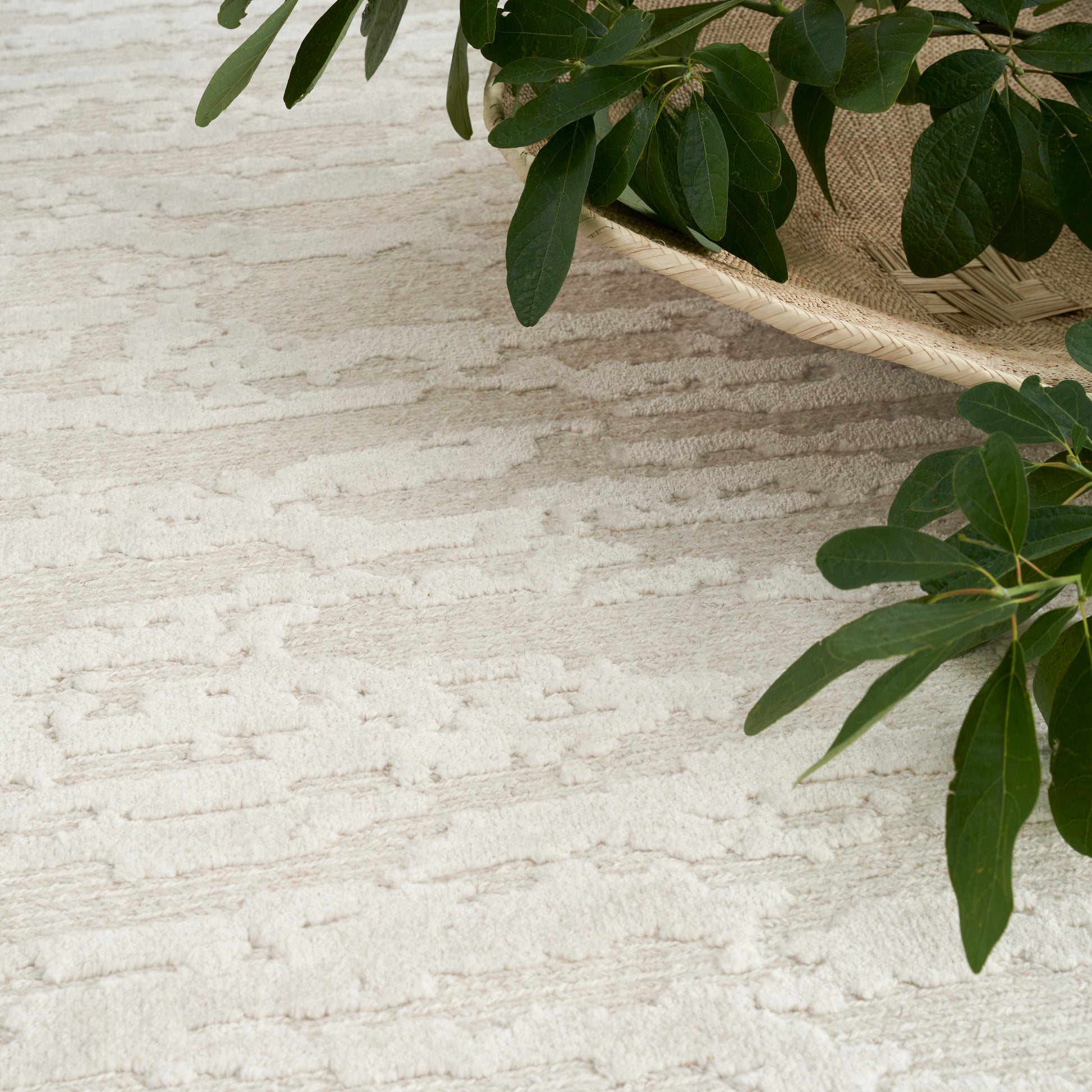 Nourison Home Divine  Ivory  Contemporary