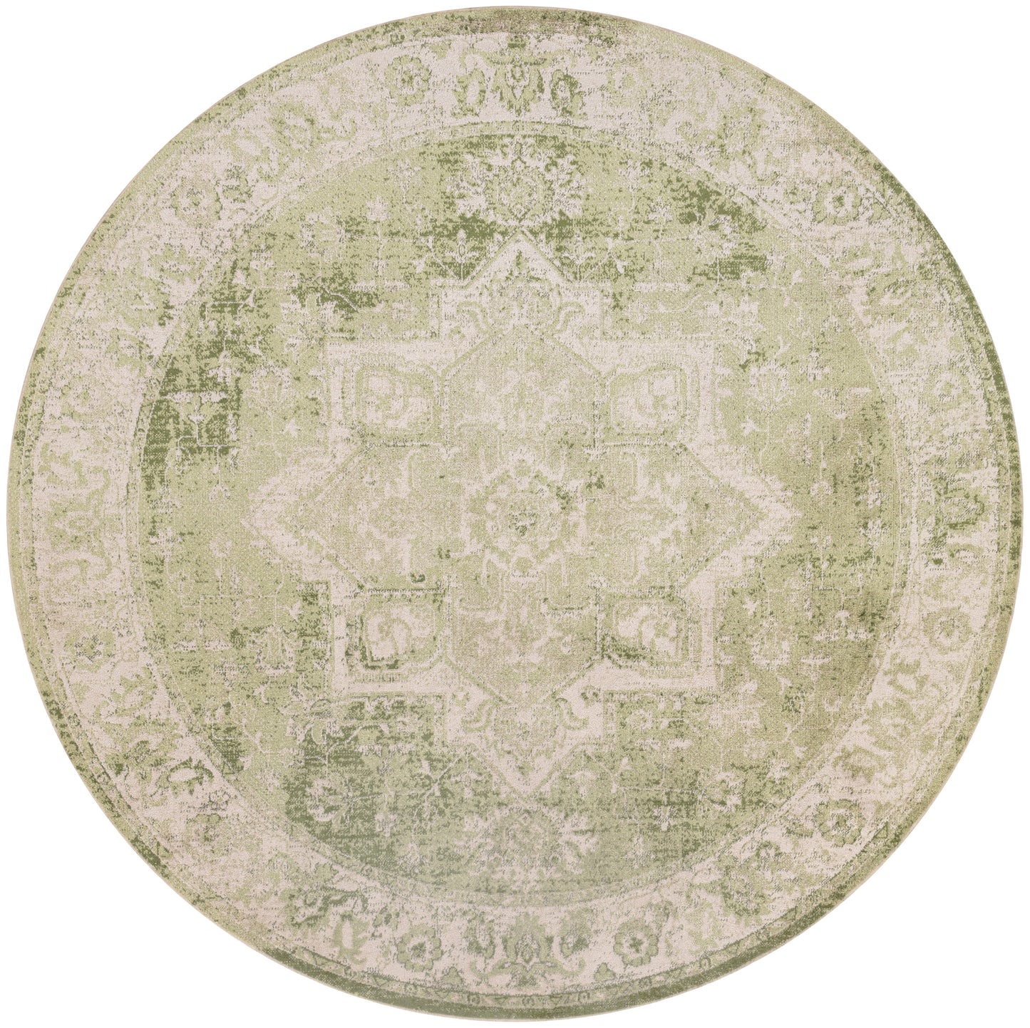 Nourison Home Astra Machine Washable ASW12 Ivory Green Traditional Power-loomed Rug