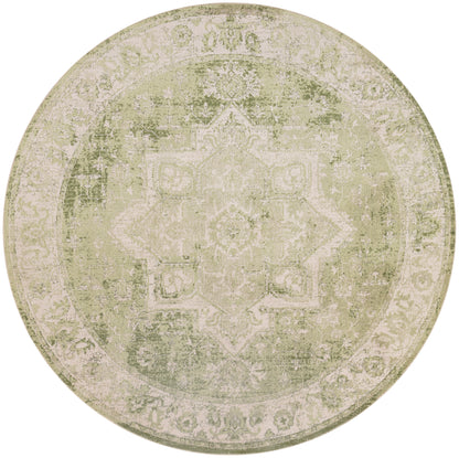 Nourison Home Astra Machine Washable ASW12 Ivory Green Traditional Power-loomed Rug