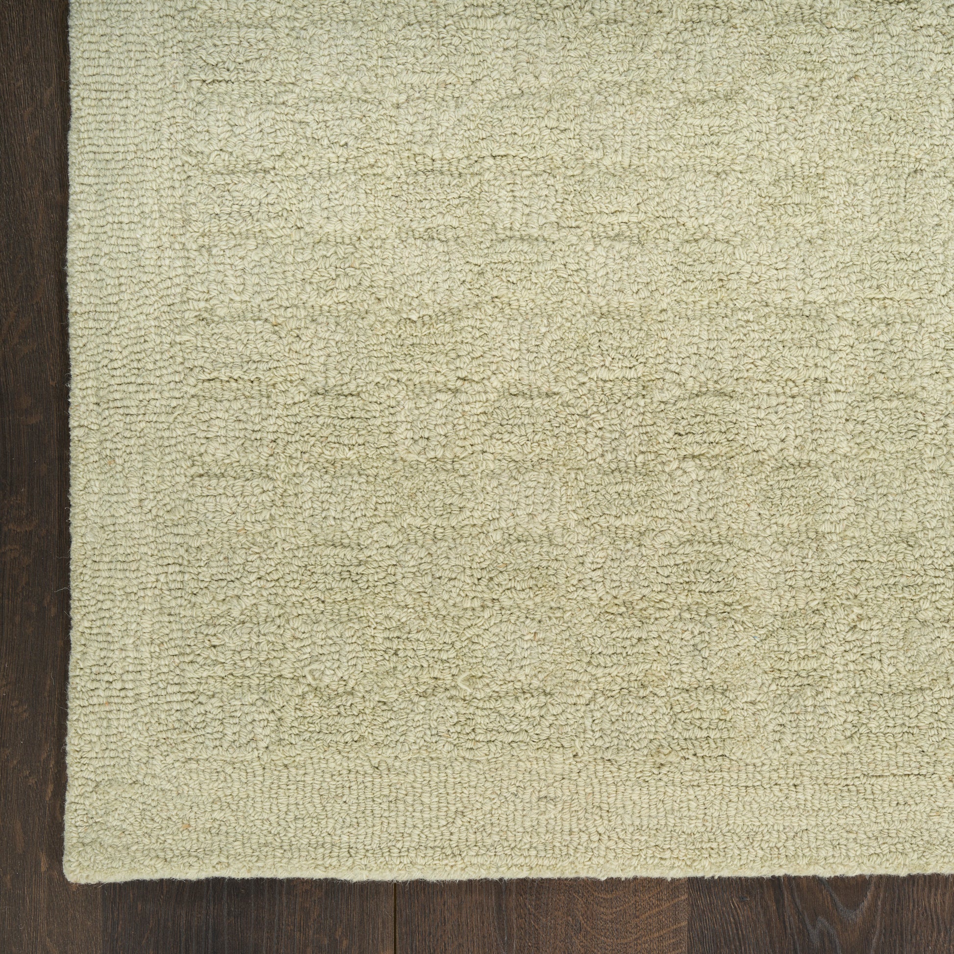 DKNY Pure Grids  Light Green  Contemporary