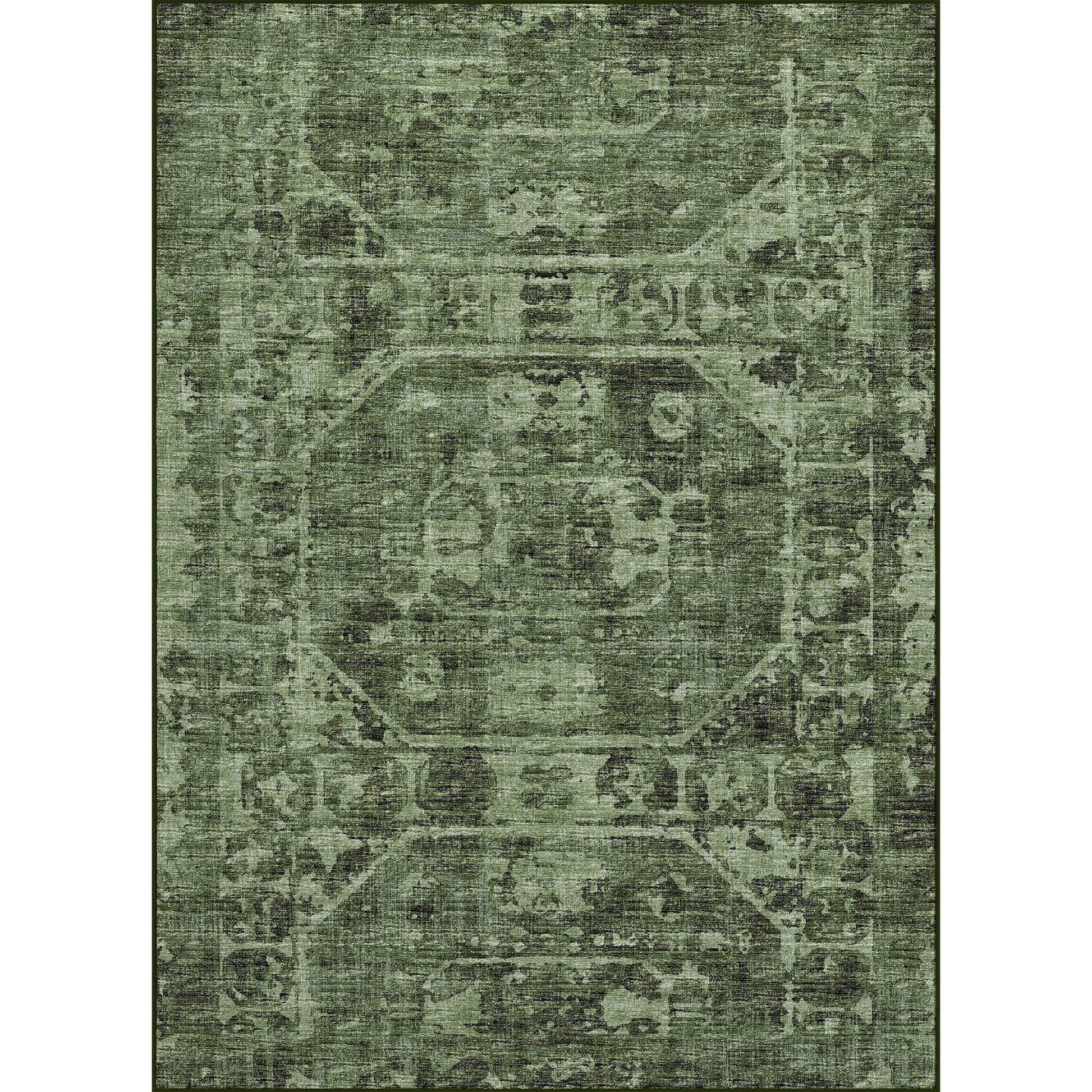 Dalyn Rugs Aberdeen  Cactus  Traditional
