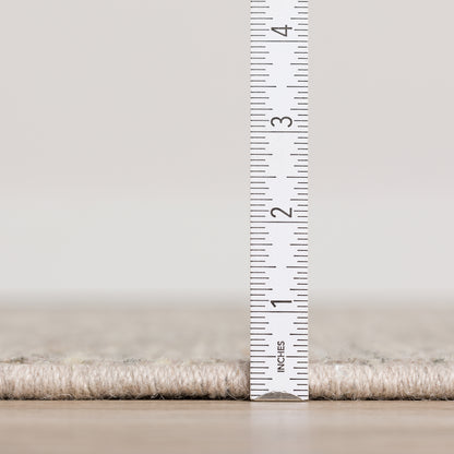 Dalyn Rugs Arcata  Putty  Transitional