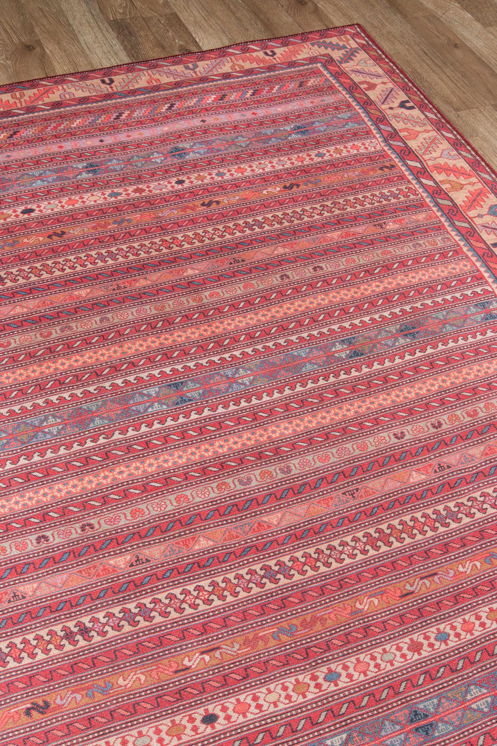 Momeni Afshar  Multi  Traditional