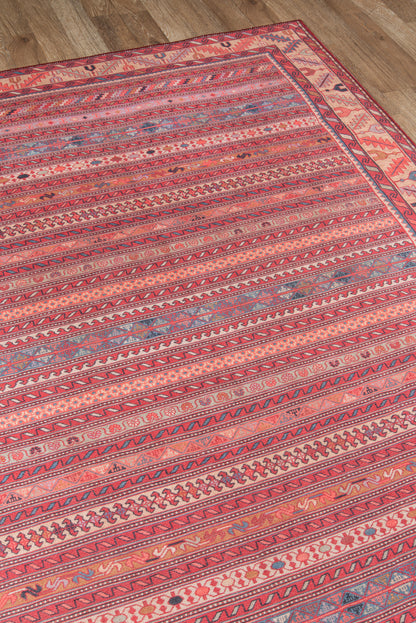 Momeni Afshar  Multi  Traditional