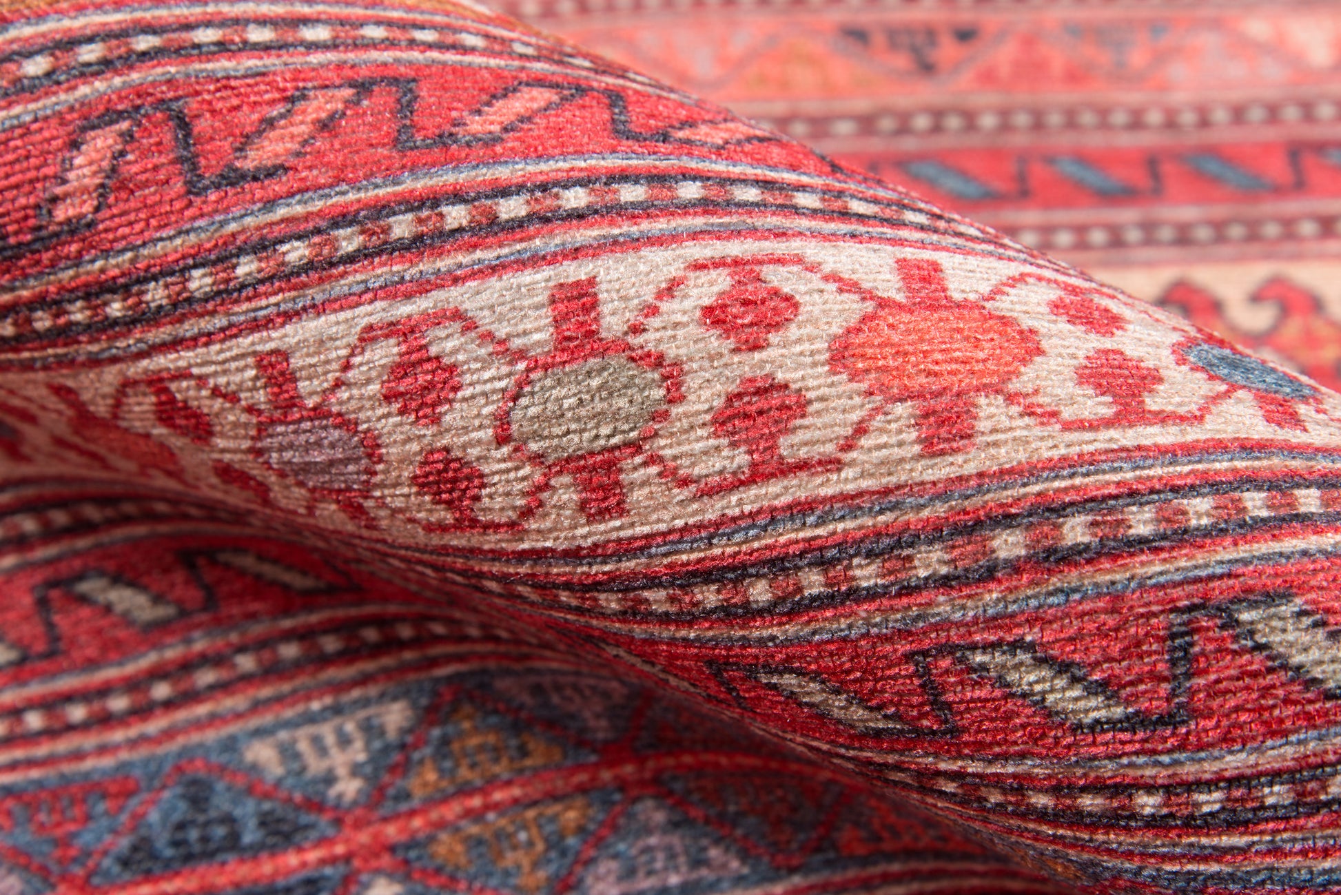 Momeni Afshar  Multi  Traditional