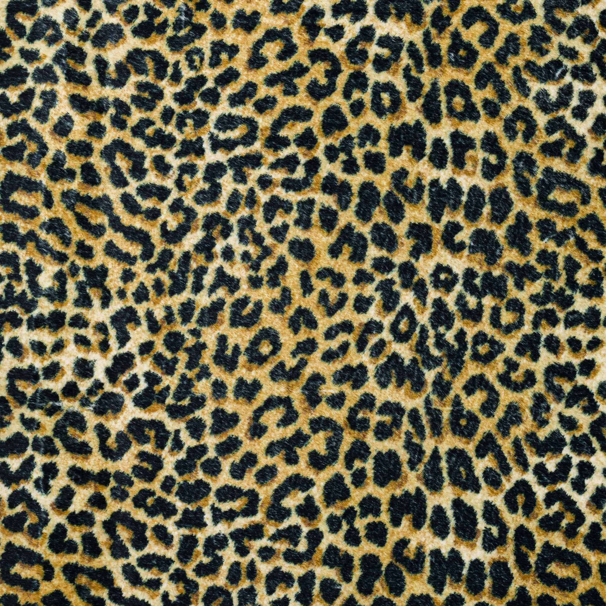 Dalyn Rugs Akina  Gold  Casual