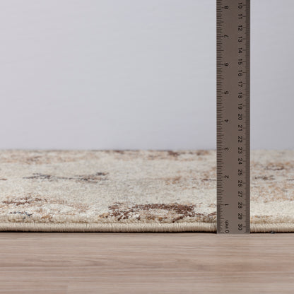 Dalyn Rugs Antigua  Chocolate  Traditional