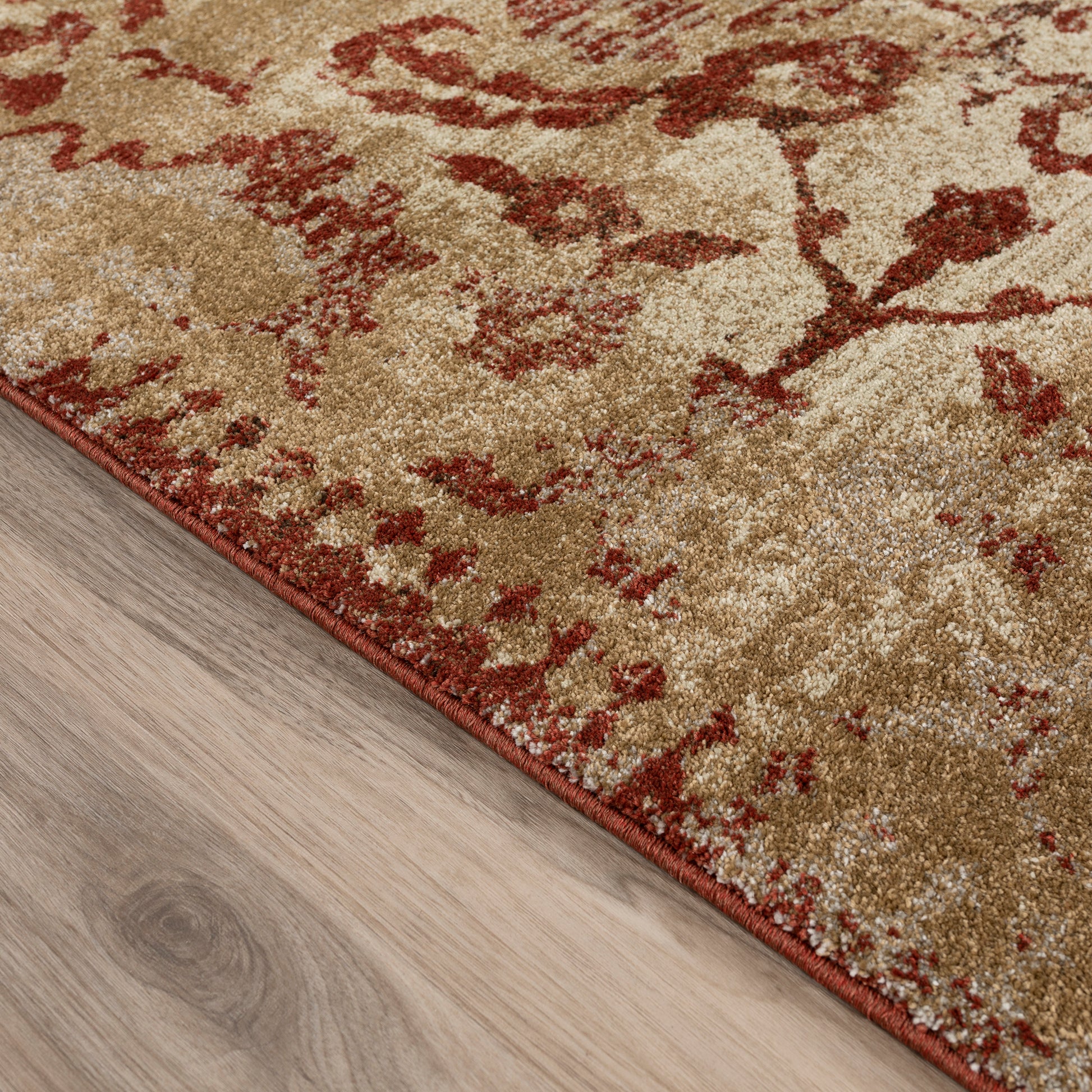 Dalyn Rugs Antigua  Paprika  Traditional