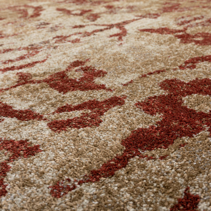 Dalyn Rugs Antigua  Paprika  Traditional