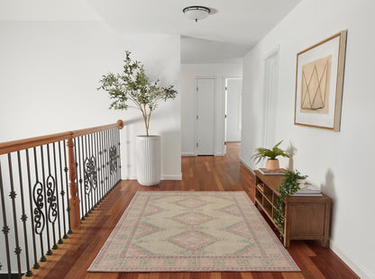 Momeni Anatolia  Pink  Traditional