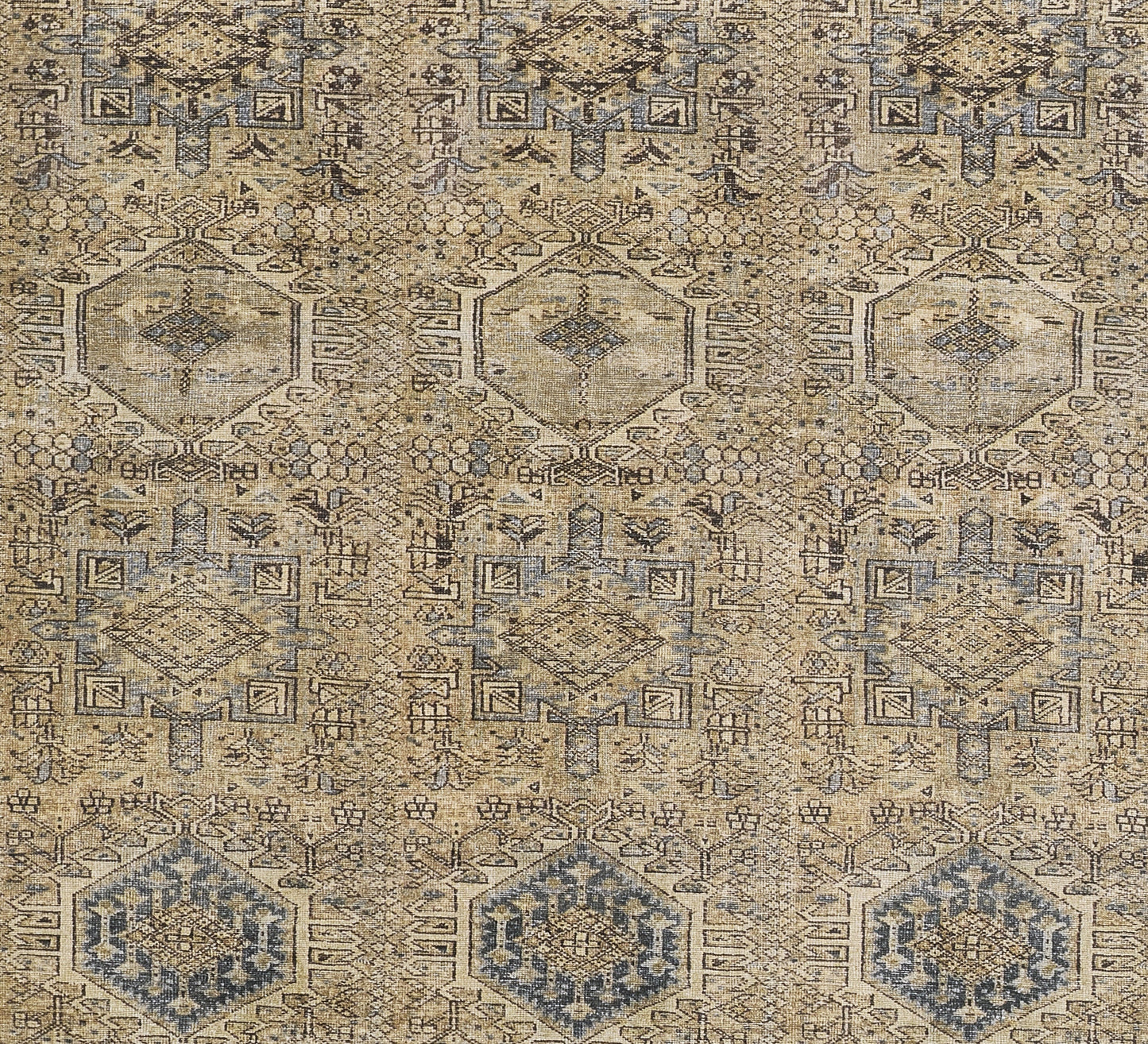 Momeni Ariana  Blue  Traditional
