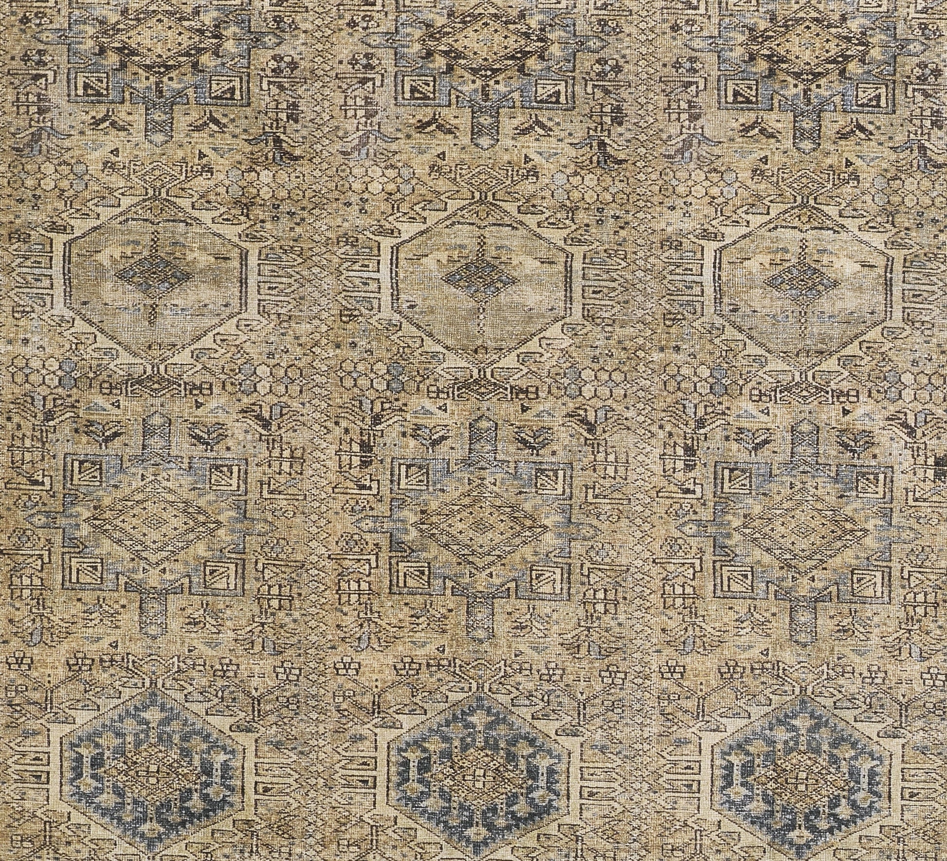 Momeni Ariana  Blue  Traditional