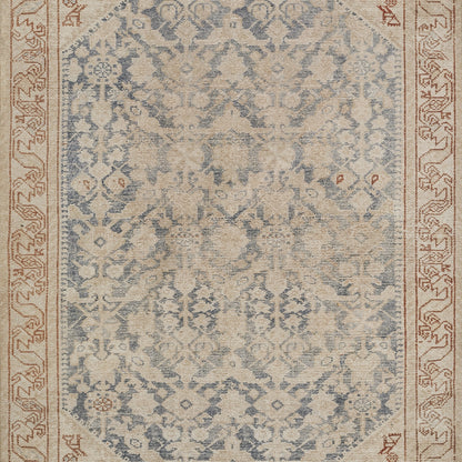 Momeni Ariana  Blue  Traditional