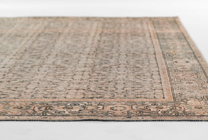 Momeni Ariana  Charcoal  Traditional