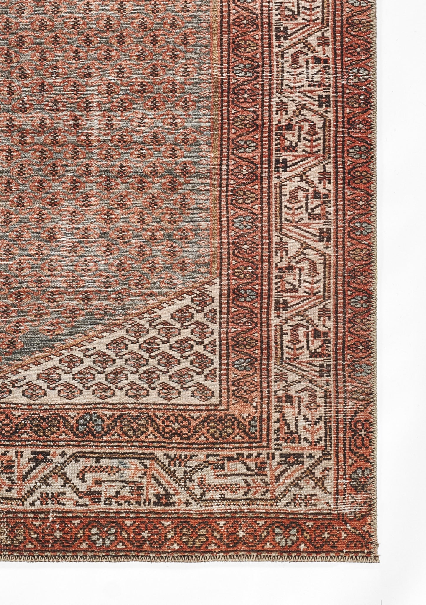 Momeni Ariana  Rust  Traditional