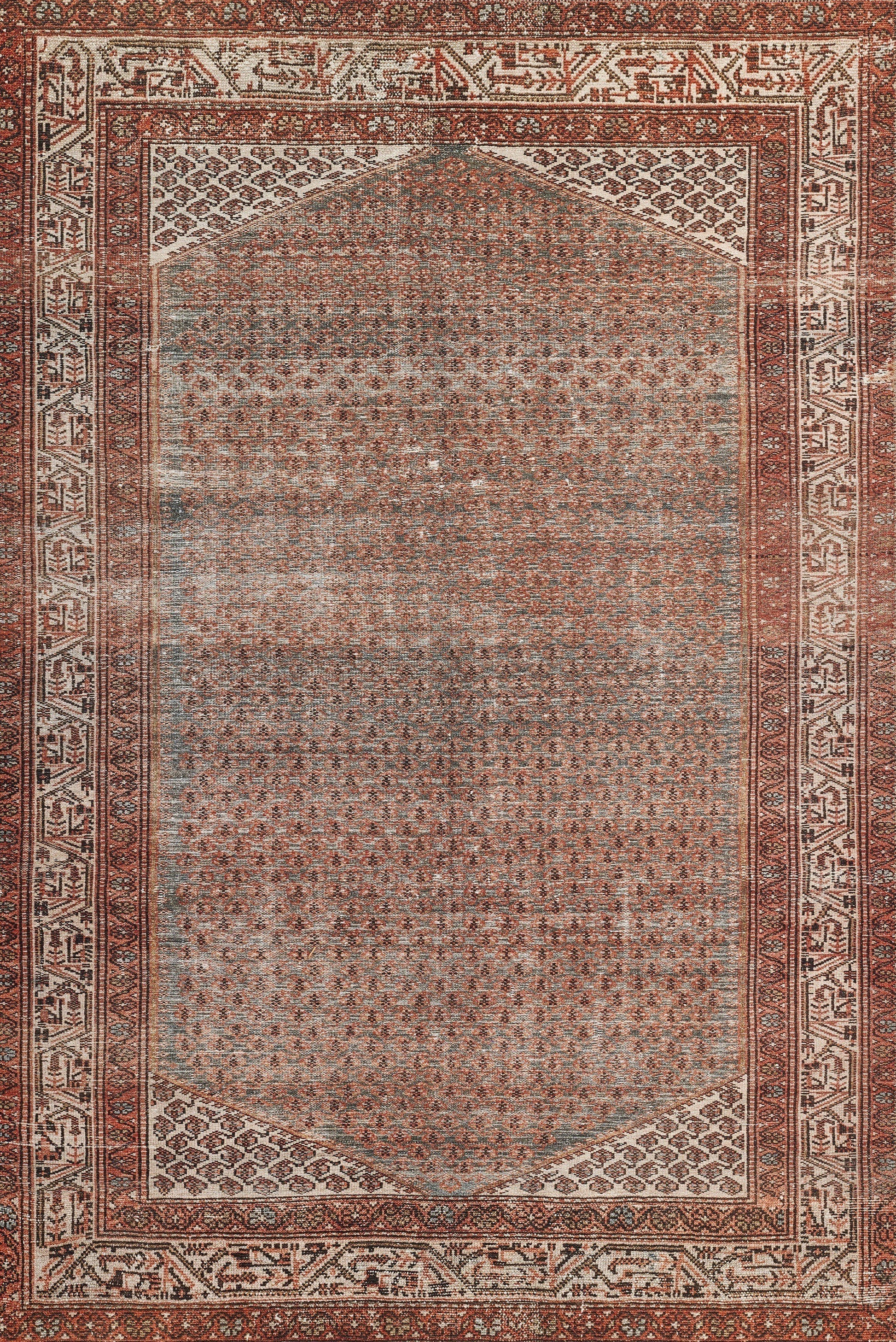 Momeni Ariana  Rust  Traditional