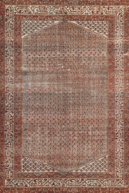 Momeni Ariana  Rust  Traditional