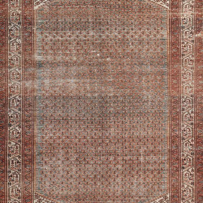 Momeni Ariana  Rust  Traditional