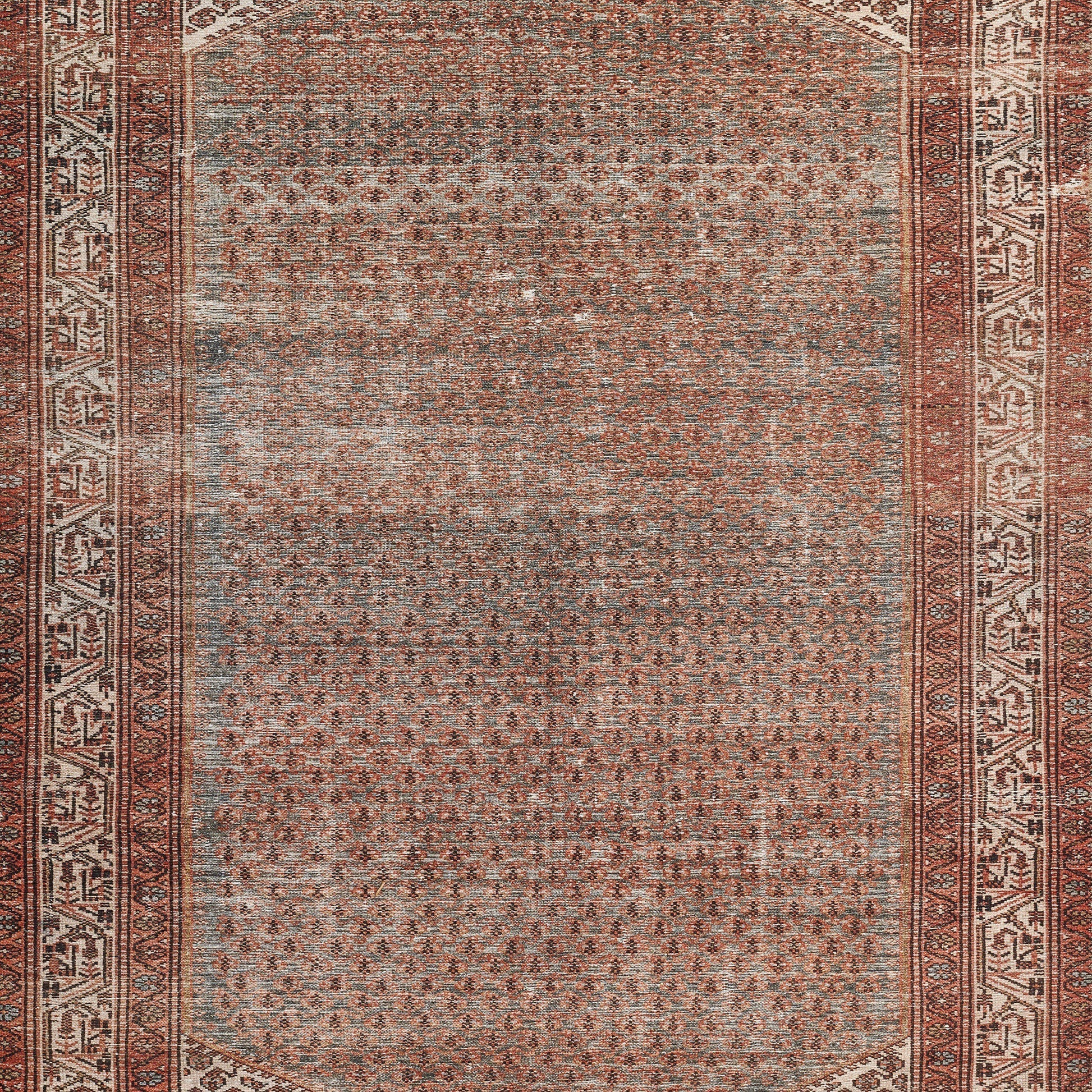 Momeni Ariana  Rust  Traditional