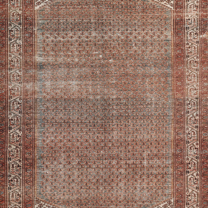 Momeni Ariana  Rust  Traditional