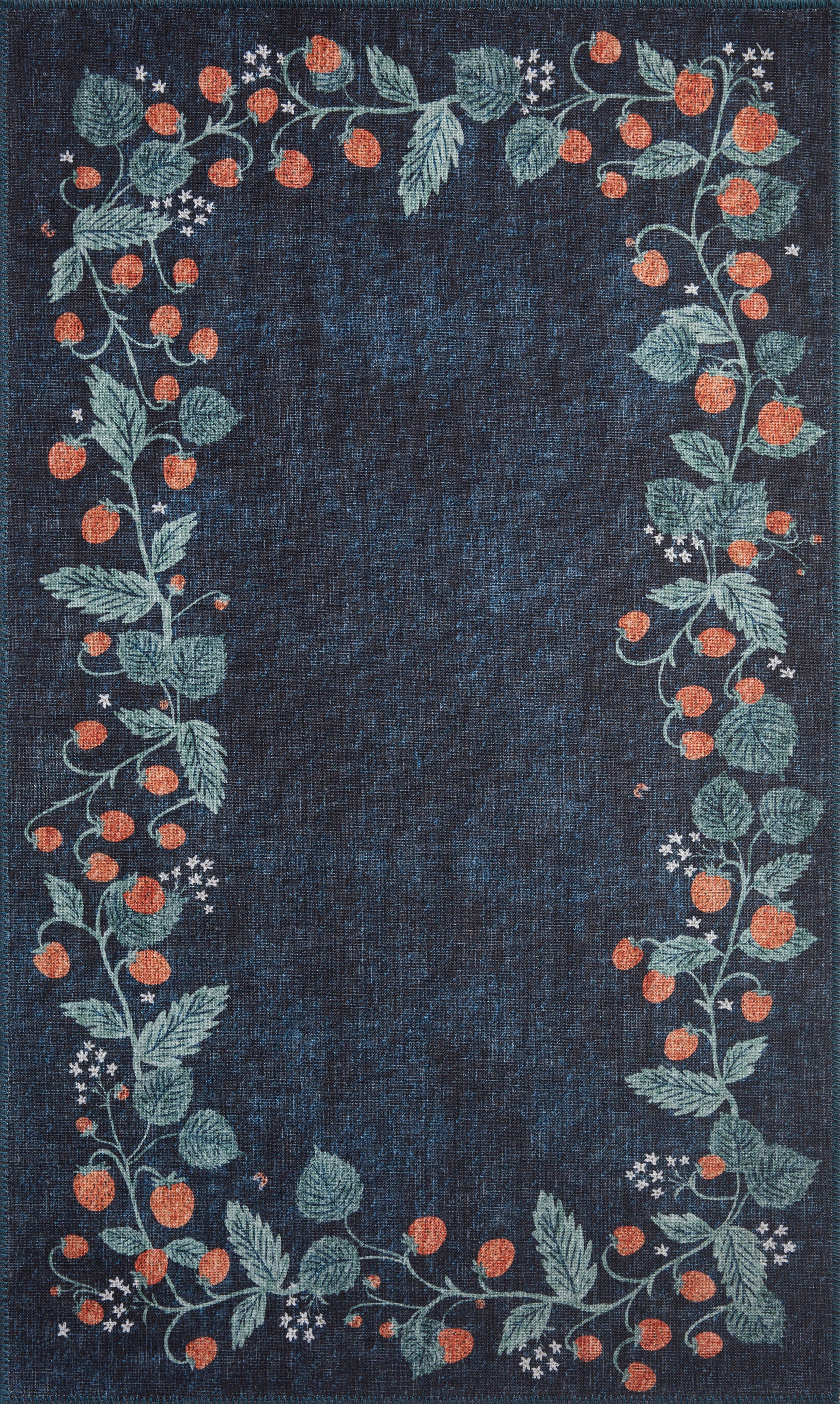 Rifle Paper Co. x Loloi Atelier  Navy  Traditional