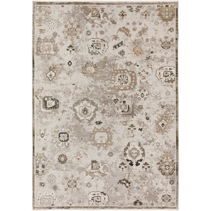 Dalyn Rugs Antalya  Silver  Traditional