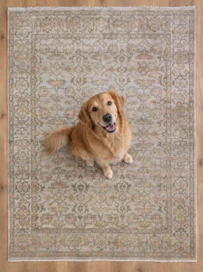 Artisan Emma Silver Style Shot — Silver floral rug with an ornate border and a golden retriever seated in the center.