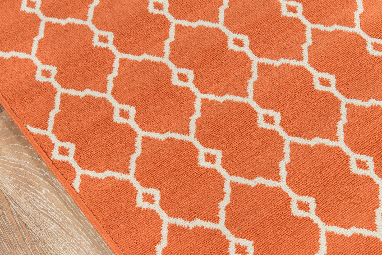 Momeni Baja  Orange  Contemporary